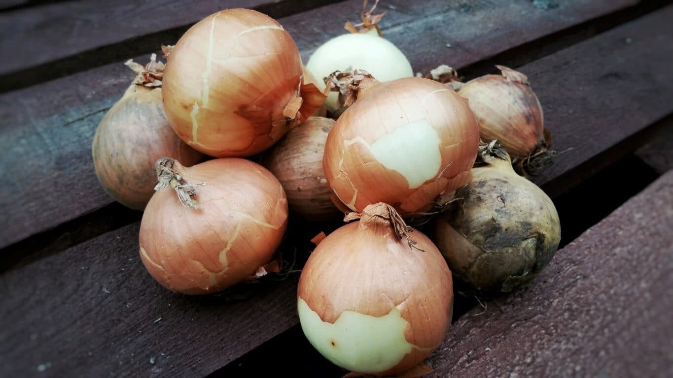 Waitrose Introduce Their Version of Wonky Veg