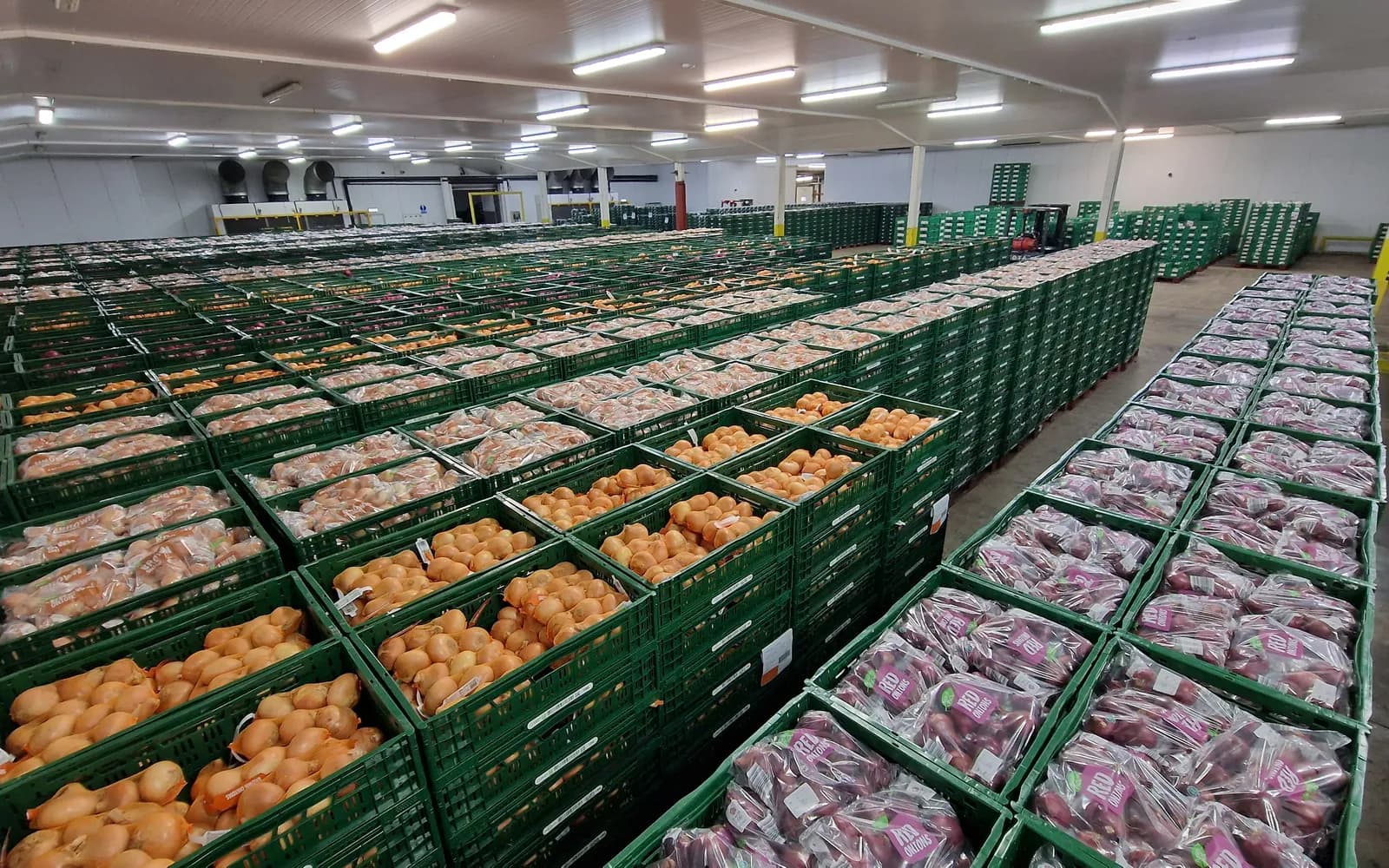 A finished goods store stacked with crates of packed and netted onions ready for despatch