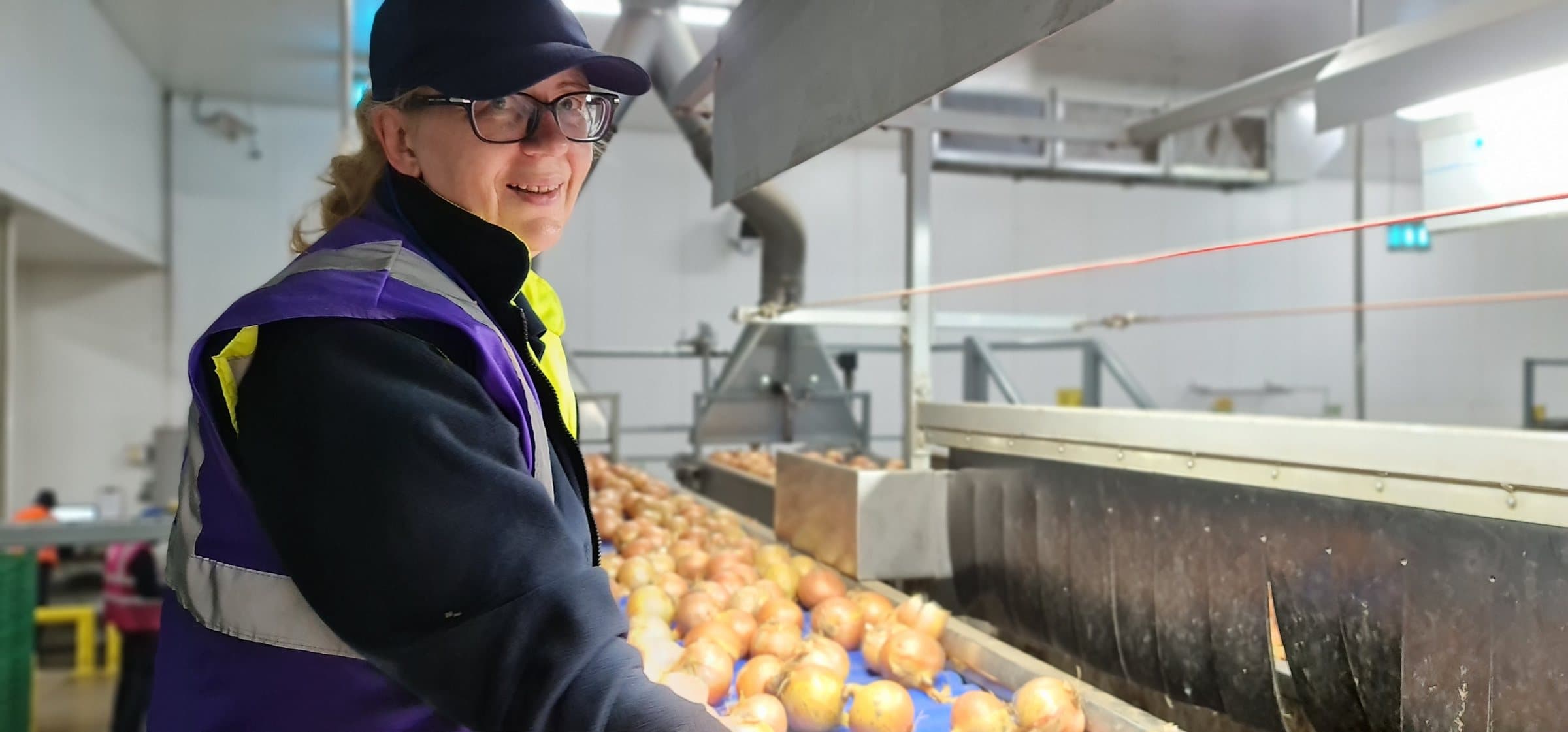 A colleague working alongside onions on the grading line in the Moulton packhouse