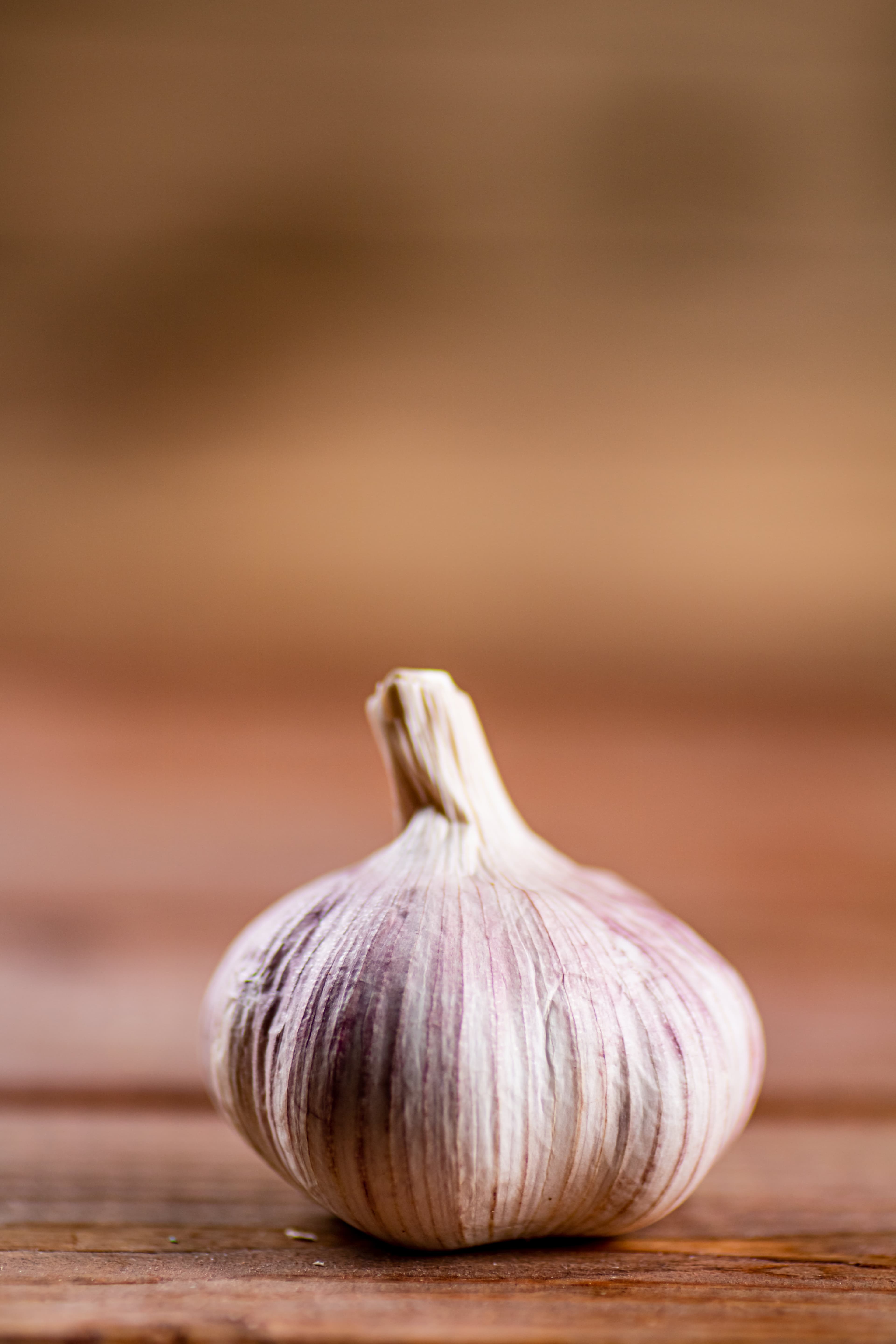 British Garlic