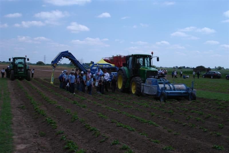 Join us for Open Farm Sunday at Naylor Flowers this Sunday