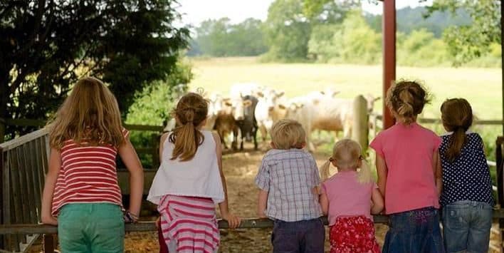 LEAF Open Farm Sunday 2023
