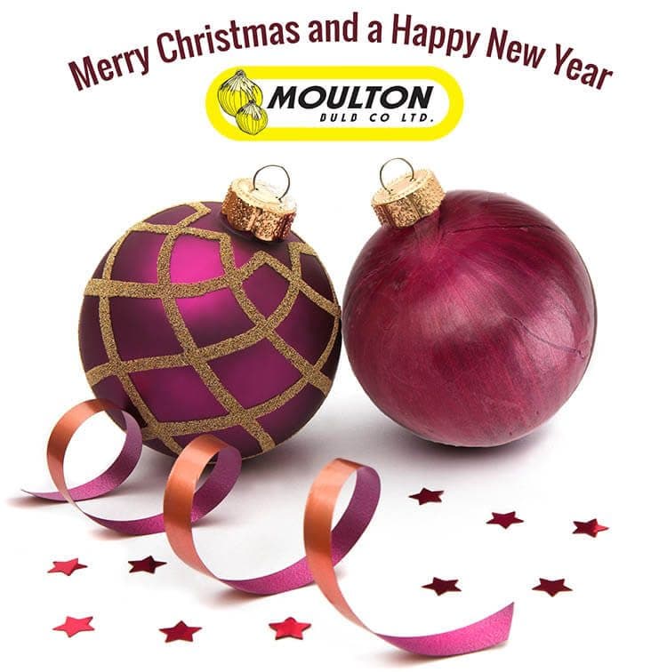 Merry Christmas and a Happy New Year