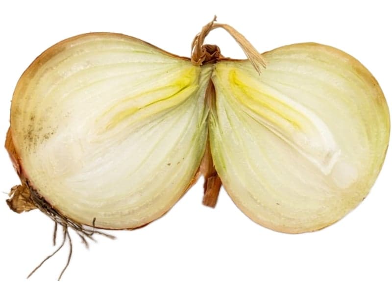 Example of internal growth on an onion